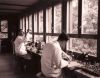 © Eawag: Richard Vollenweider und Heinrich Wolff im Labor um 1950.