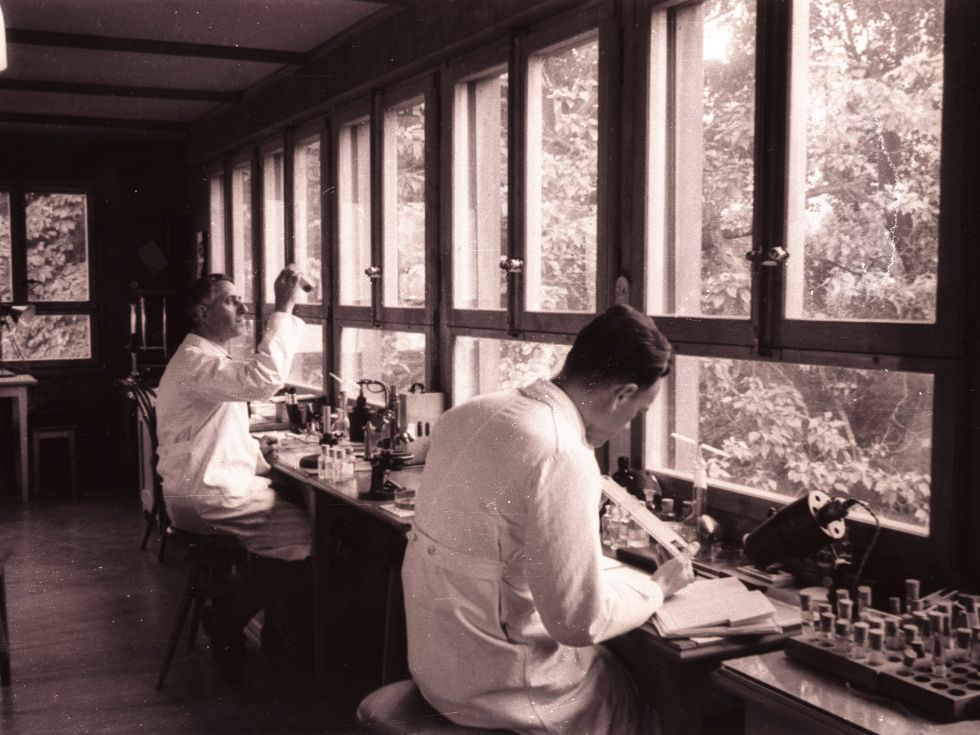 © Eawag: Richard Vollenweider und Heinrich Wolff im Labor um 1950.