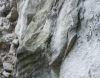 Versteinerte unterirdische Wasserwellen beim Löwendenkmal