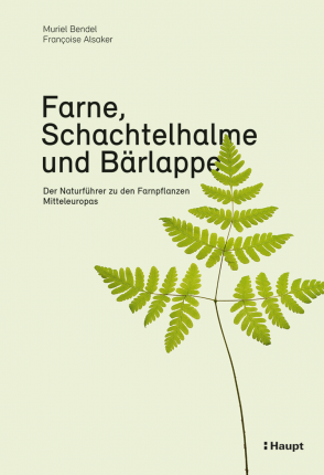 Farne, Schachtelhalme und Bärlappe – Der Naturführer zu den Farnpflanzen Mitteleuropas